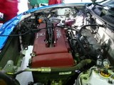V1